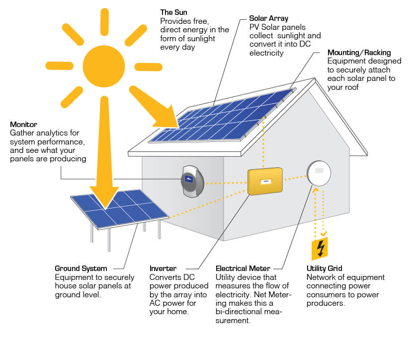 solar panel cleaning