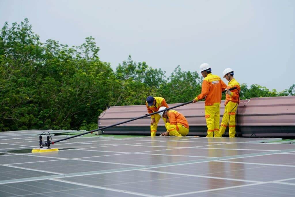 solar panel cleaning proffessional